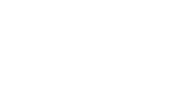 wordpress development mobile hero